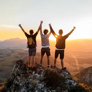 柴犬托运攻略图解教程